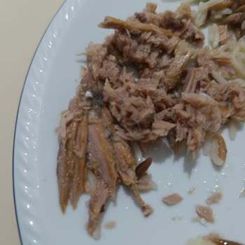 BİM Şubesinde Satın Alınan Derya Ton Balığı Ürününün Sağlık Riski