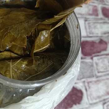 Görsellerle Uyuşmayan Sert Yapraklar Ve İade Talebine Cevap Verilmiyor