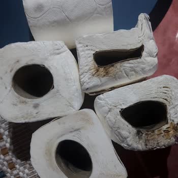 Üç Katlı Tuvalet Kağıdında Hijyen Sorunu, Kuru Ve Küflü Rulolar