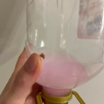 Hobby Sıvı Sabunda Azalan Şişe Ve Sümüksü Madde Sorunu