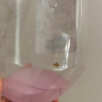 Hobby Sıvı Sabunda Azalan Şişe Ve Sümüksü Madde Sorunu