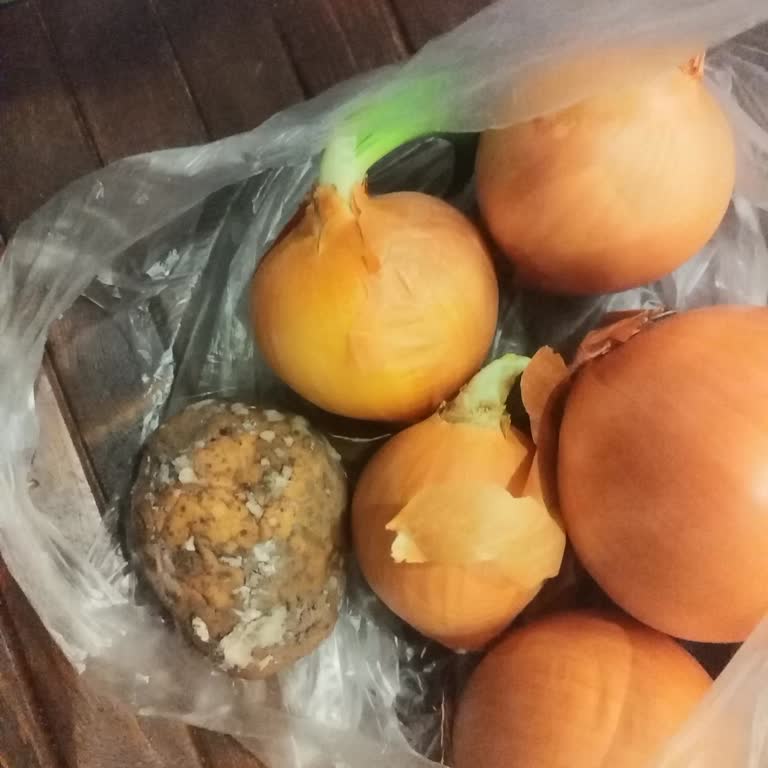 Bozulmuş Ürünler Ve Eksik Poşet Ücreti İadesi Talebi