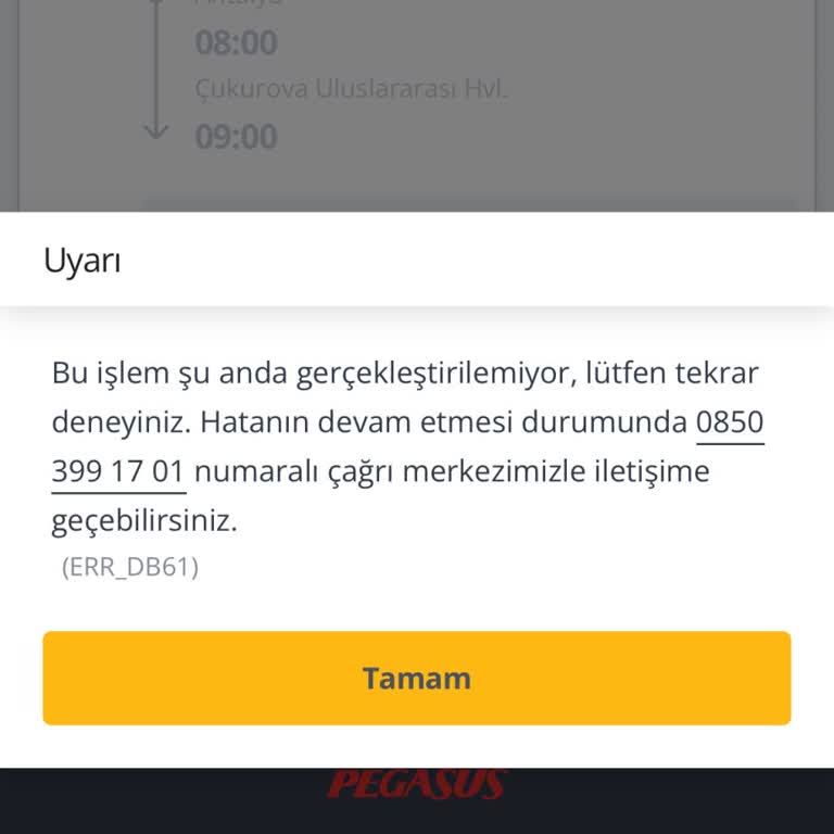 Pegasus’ta İptal İşlemi Hatası Ve Geri Ödeme Gecikmesi