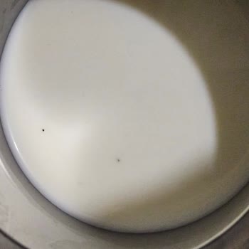 İçim Sütünde Görülen Siyah Parçalar Hijyen Ve Sağlık Endişesi Yaratıyor