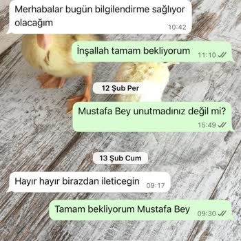 Geyik Mobilya’dan Eksik Merdivenler İçin Hızlı Çözüm Talebi