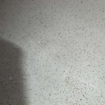 Yeni Aldığım Porland Tabak Takımında Boya Aşınması Ve Renk Atması