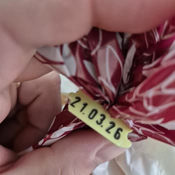 Harras Markalı Tost Ekmeği Son Kullanma Tarihi Öncesinde Küflendi