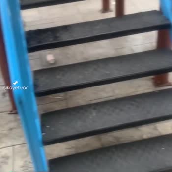 Adalet Bakanlığı Samsun T Tipi Kapalı Ceza Evinden Şikayet!