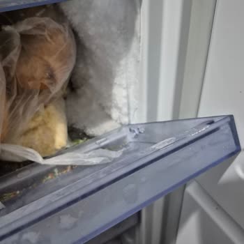 RZ20DG Model Samsung Derin Dondurucu Aşırı Karlanma Sorunu Yaşatıyor