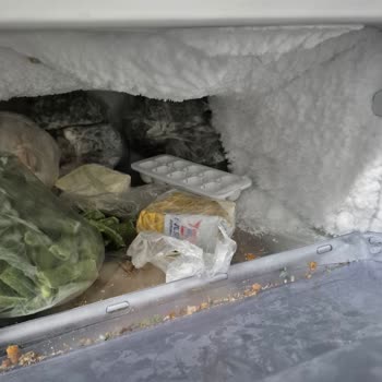 RZ20DG Model Samsung Derin Dondurucu Aşırı Karlanma Sorunu Yaşatıyor