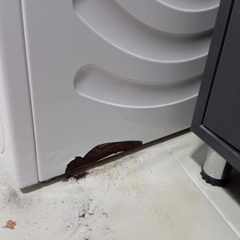 Garanti Altındaki Bosch Çamaşır Makinem Kısa Sürede Paslanıp Çürüdü, Servis Kullanıcı Hatası Diyor