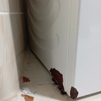 Garanti Altındaki Bosch Çamaşır Makinem Kısa Sürede Paslanıp Çürüdü, Servis Kullanıcı Hatası Diyor