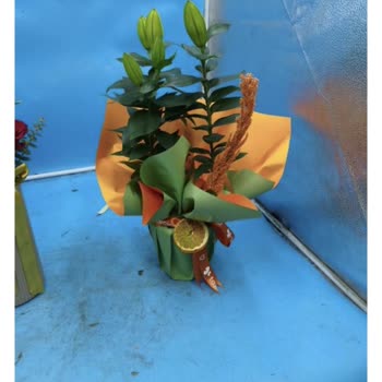 Seçilen Çiçek Görsellerine Uymayan Sipariş Ve İptal İadesi Talebi