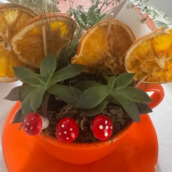 Sukulent Aranjman Yanlış Gönderildi Ve Kırık Saksı Teslim Edildi; İade Veya Yeniden Gönderim Talebi