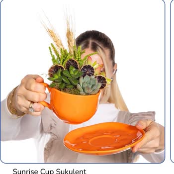 Sukulent Aranjman Yanlış Gönderildi Ve Kırık Saksı Teslim Edildi; İade Veya Yeniden Gönderim Talebi