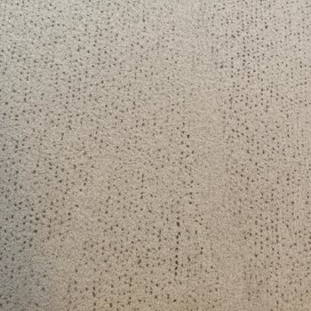 Defolu Üçlü Koltuk Ve Yetersiz Tamir Teklifi Nedeniyle Yeni Koltuk Talebi