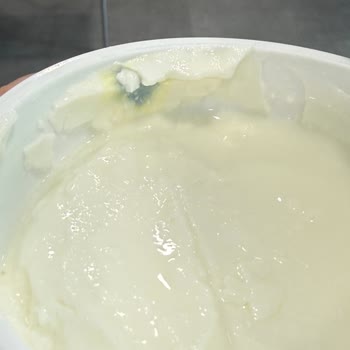 Sek Quark Sade Yoğurtta Küf Sorunu