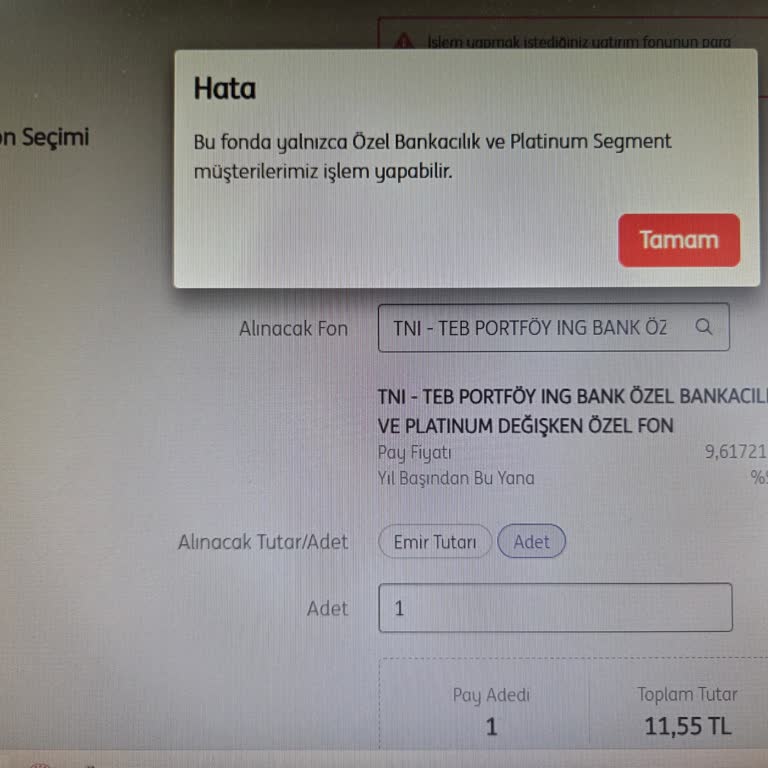 ING Bank Müşteri Segmenti Güncellenmediği İçin Yatırım Fonlarına Erişim Engellendi