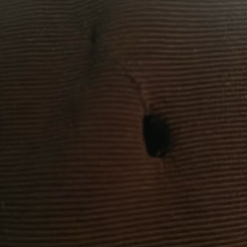 LCW Mağazasındaki Yırtık Hırka Değişim Talebim Reddedildi; Müdürün Haksız Tutumu