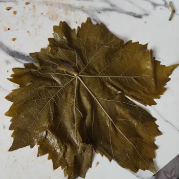 Egeden Köy Ürünleri (egedenkoyurunlerii) Ödediğim Para Boşa Gitti