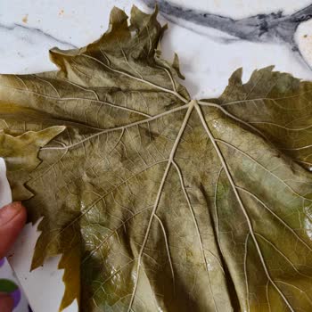 Egeden Köy Ürünleri (egedenkoyurunlerii) Ödediğim Para Boşa Gitti