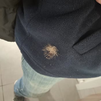 Kaz Tüyü Montum Aşırı Tüy Döküyor, Değişim Talep Ediyorum