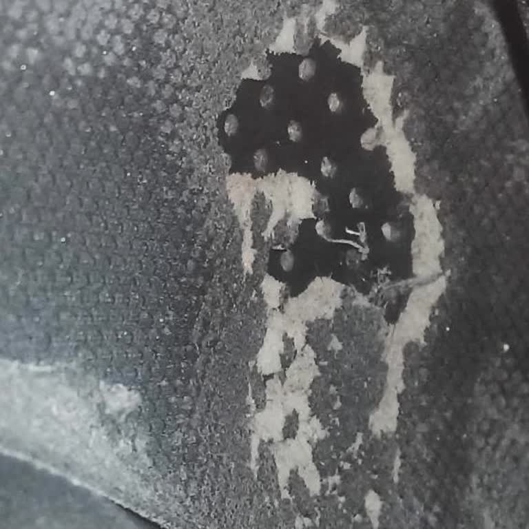 Etichet Ayakkabısında 5 Ay İçinde İç Taban Yırtılması Ve Değişim İsteği