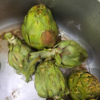 Çiğnenmeyen Enginar Siparişinde Bozuk Ve Kumlu Ürün İçin Ücret İadesi Talebi