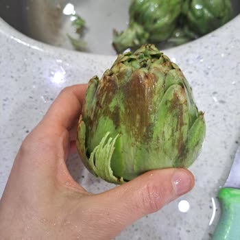 Çiğnenmeyen Enginar Siparişinde Bozuk Ve Kumlu Ürün İçin Ücret İadesi Talebi