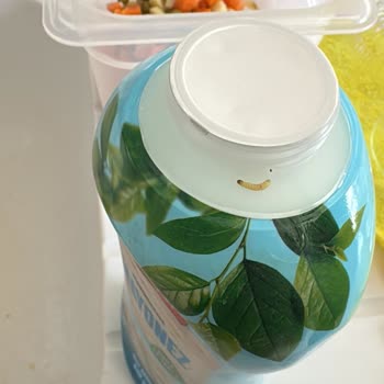 A101 Şubesinde Mayonezde Kurt Tespiti Ve Cevapsız Şikayet