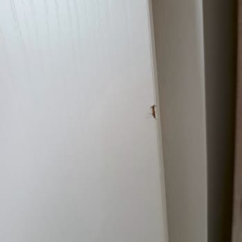 Teslim Süresi Aşımı Ve Ayıplı Ürünlerin Değiştirilmemesi