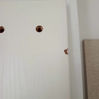 Teslim Süresi Aşımı Ve Ayıplı Ürünlerin Değiştirilmemesi