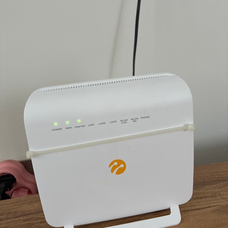 Evin Odalarında İnternet Çekmemesi, Yanıltıcı Sözler Ve Teknik Destek İhtiyacı