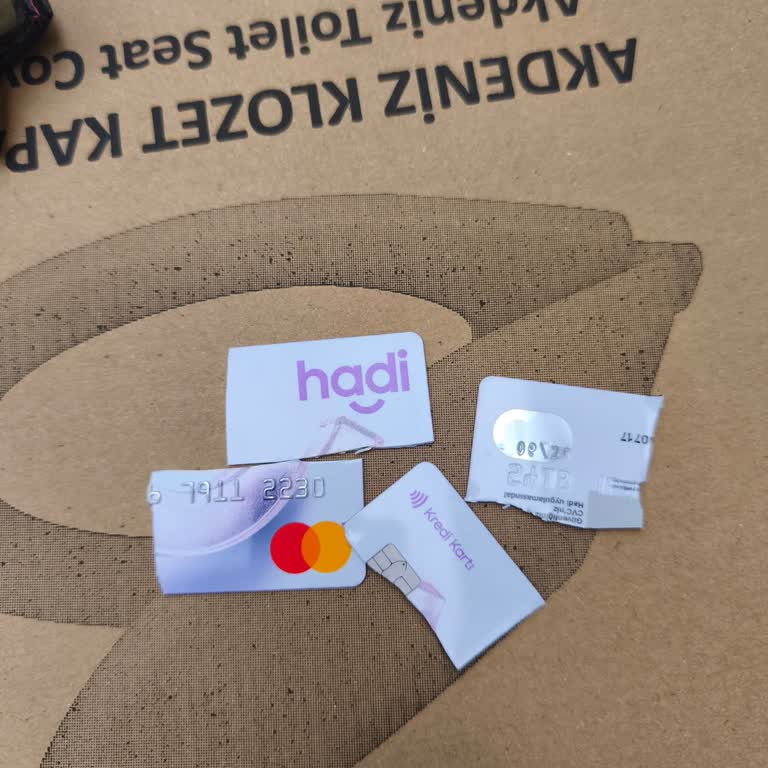 Geliri Olmayan 70 Yaşındaki Annenin Zorla Kredi Kartı Verilmesi Ve Haksız Borç Şikayeti