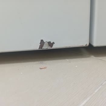 Regal Buzdolabı Düzgün Soğutmuyor!