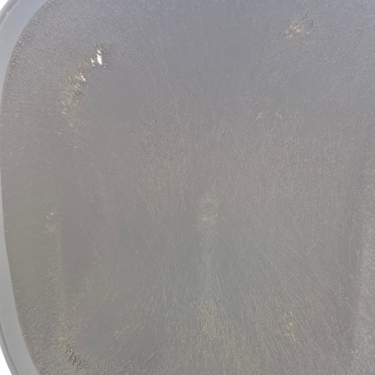 Silikon Petin Hızlı Çözülmesi Ve Garanti Reddi