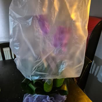 Marmara Çiçekçilik Maltepe Şubesinde Soğuk Tavır Ve Şeffaf Poşetle Çiçek Teslimatı