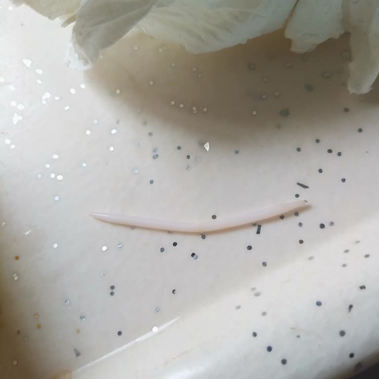 Hoover Bulaşık Makinesinde Su Tahliye Sorunu Ve 800 TL Servis Ücreti İadesi Talebi