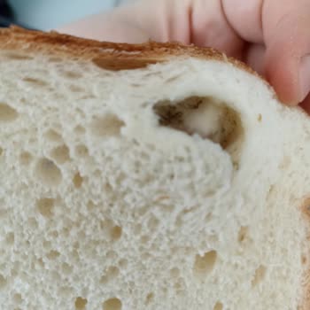 Tost Ekmeğinde Siyah Küf Benzeri Oluşum Ve Geri Ödeme İsteği