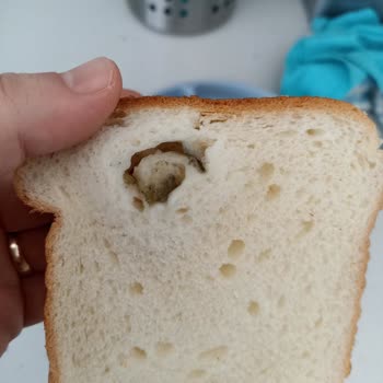 Tost Ekmeğinde Siyah Küf Benzeri Oluşum Ve Geri Ödeme İsteği