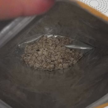 Eti Gıda Plastik Benzeri Yabancı Bir Cisim Çıktığını Fark Ettim