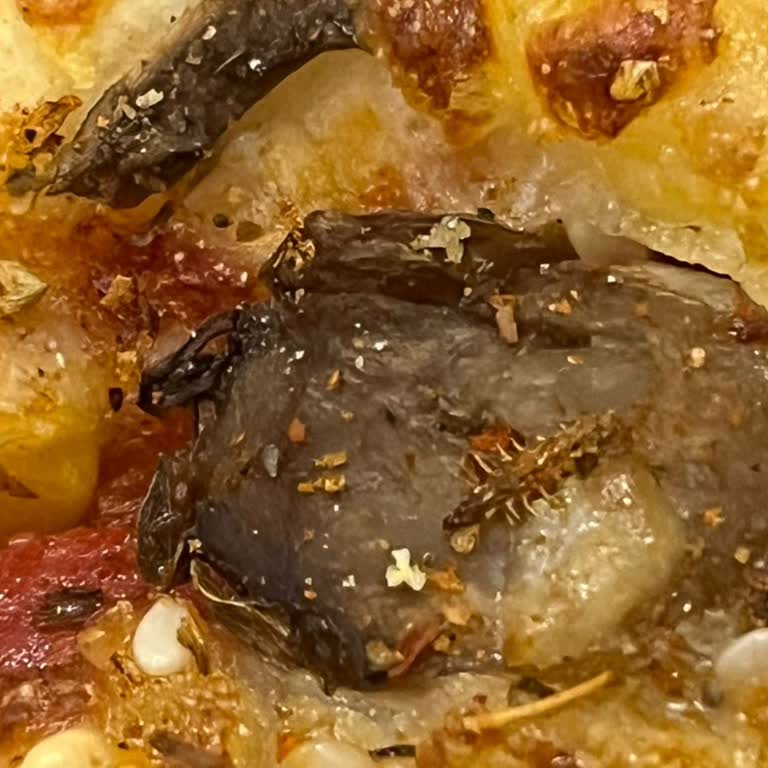 Domino's Pizza’da Böcekli Ürün ve Cevapsız Müşteri