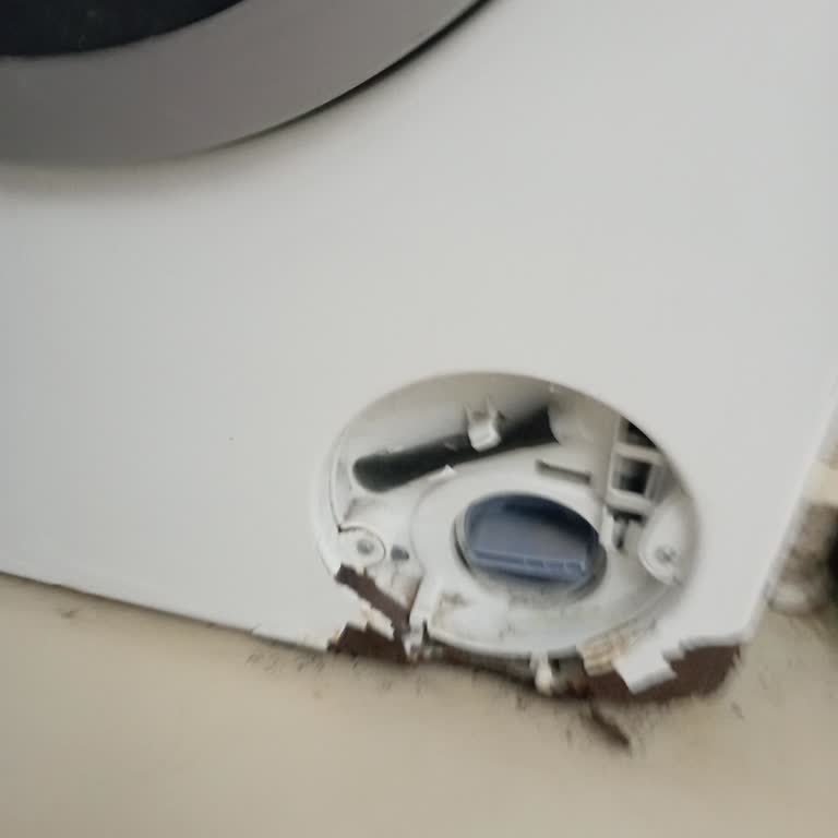 Profilo Çamaşır Makinesinde Paslanma Ve Buzdolabında Dondurma Sorunu