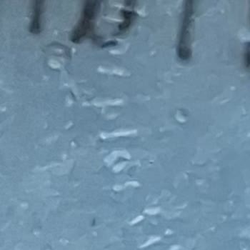 Coca-Cola Şişelerindeki Hatalı Kampanya Kodları Uygulamada Kabul Edilmiyor