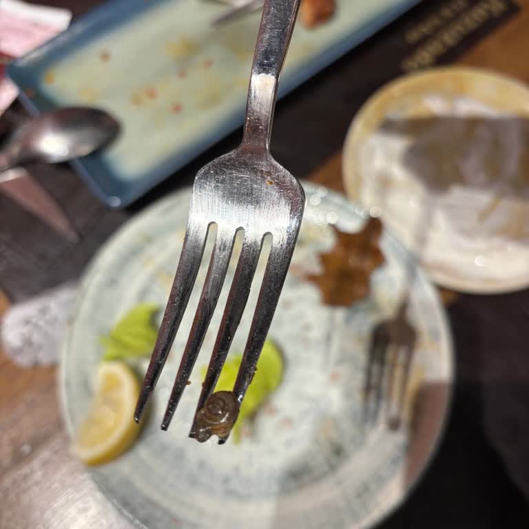 Kuzuzade Salatamızda Çıkan Canlı