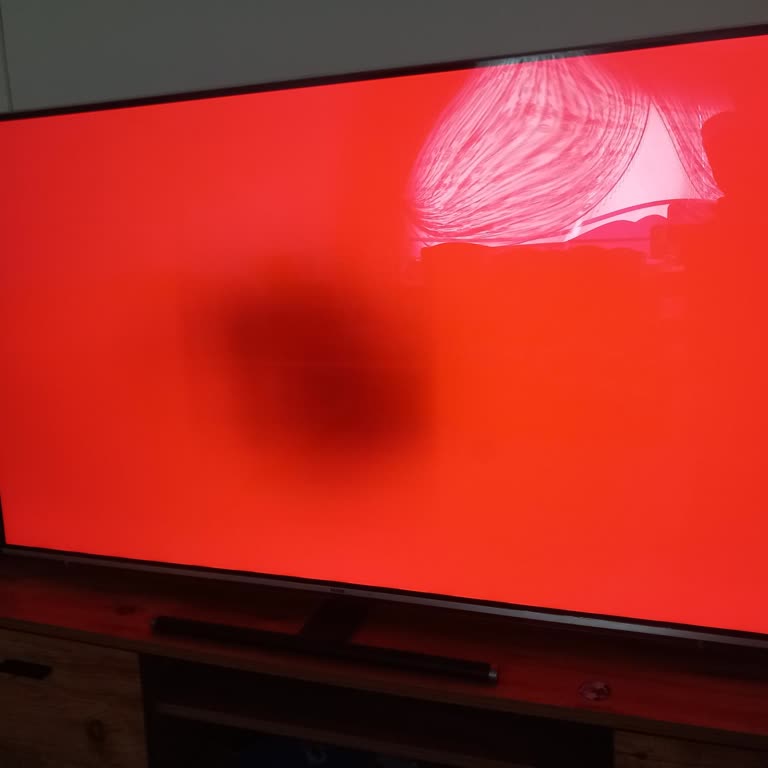 27 Ay Sonra OLED Televizyonda Piksel Yanığı Ve Renk Kayması