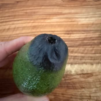 Mumcular Merkez Migros’ta Çürük Avokado Ve Tekrarlayan Ürün Sorunları