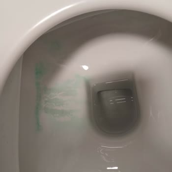 Sok Marketten Aldığım Tuvalet Fırçasının Boya Problemi Ve Tazminat Talebi