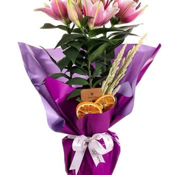 Sipariş Edilen Buket Görselle Uyuşmadı Ve SMS Onayı Gelmedi