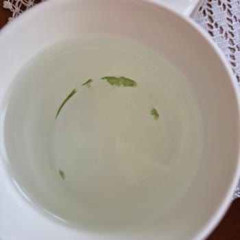 Seğmenler Suyunun Yeşillenmesi Ve Sağlık Endişesi